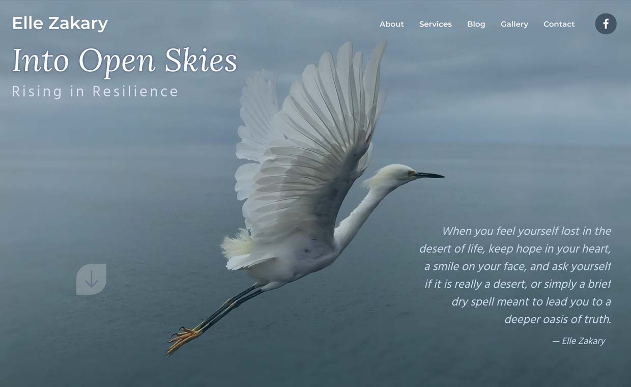 image of website